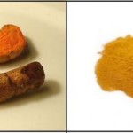 Le curcuma et ses vertus sur la beauté