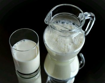 lait de jument, complément alimentaire lait de jument, bienfaits lait de jument, vertus lait de jument, lait de jument et peau
